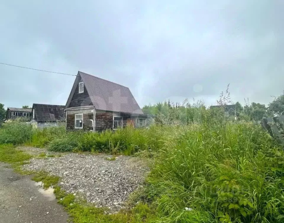 Участок в Камчатский край, Елизовский муниципальный округ, ... - Фото 2