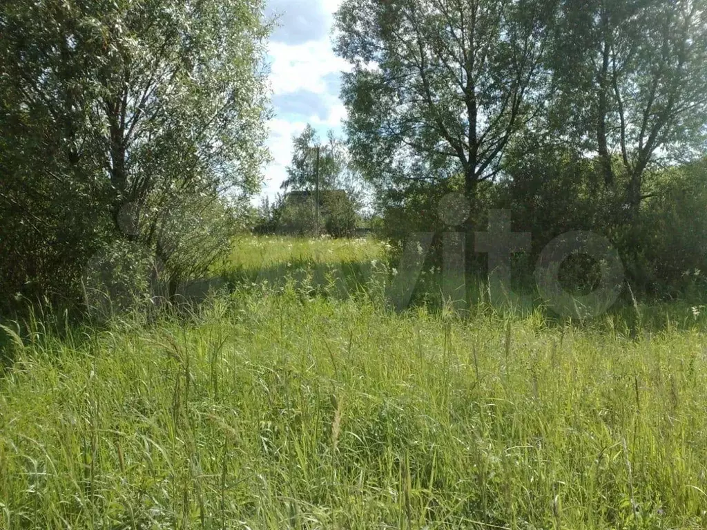 Участок 22 сот. (ИЖС) - Фото 1