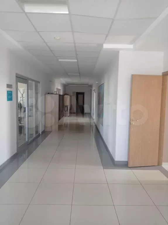 Сдам помещение свободного назначения, 30 м - Фото 0