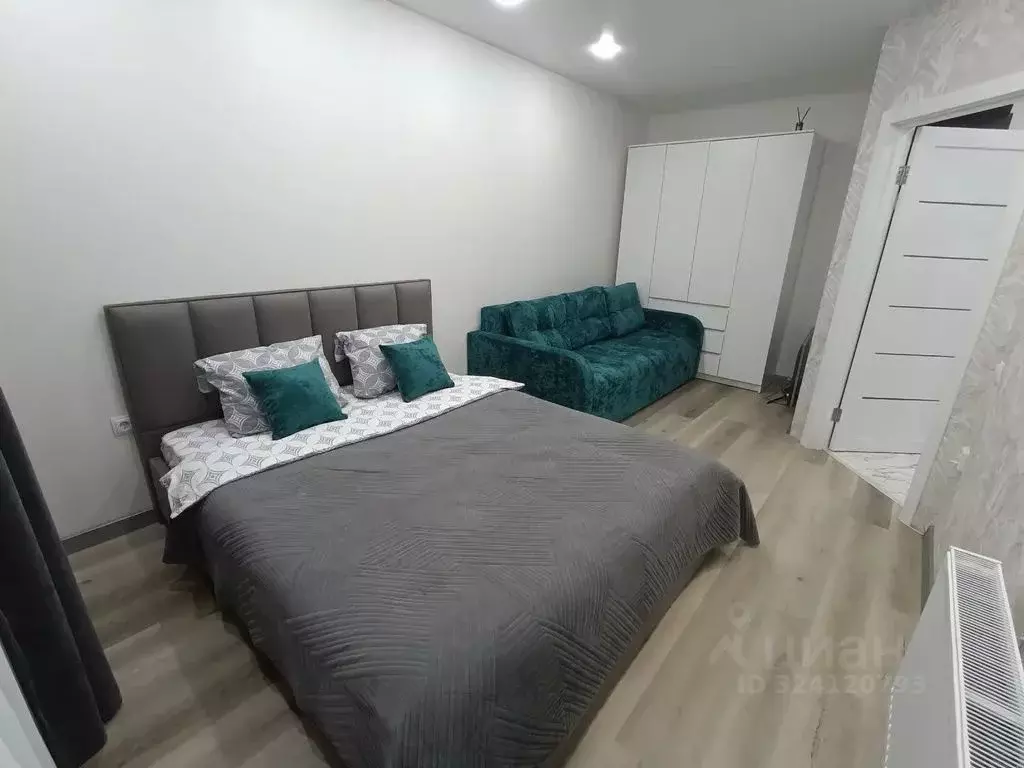 1-к кв. Ставропольский край, Михайловск Шпаковский район, ул. Ишкова, ... - Фото 1