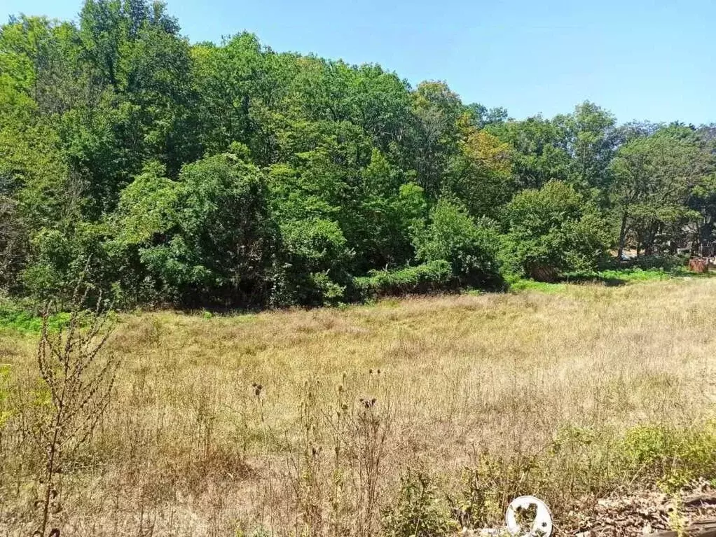 Участок в Краснодарский край, Новороссийск Родничок СНТ, 176 (6.0 ... - Фото 1