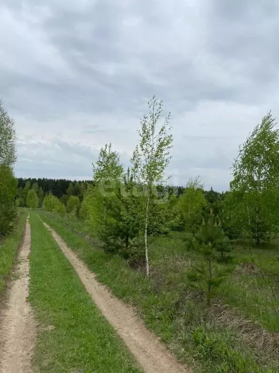 Участок в Кемеровская область, Кемеровский муниципальный округ, д. ... - Фото 1