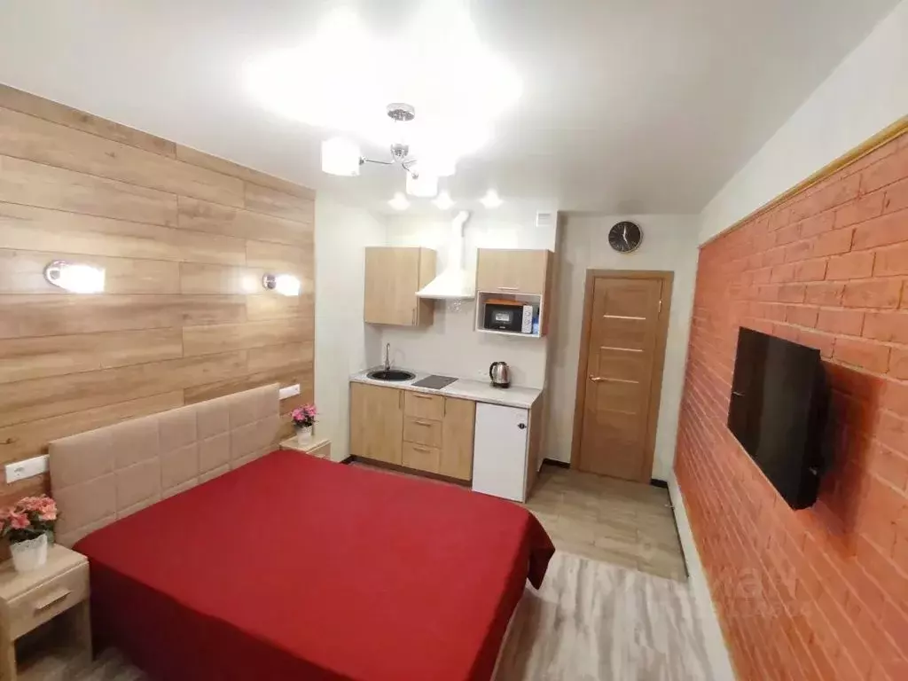 Студия Московская область, Раменское Северное ш., 38 (20.0 м) - Фото 2