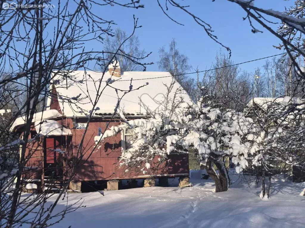 Дом в Мшинское сельское поселение, садоводческий массив Мшинская, ... - Фото 2