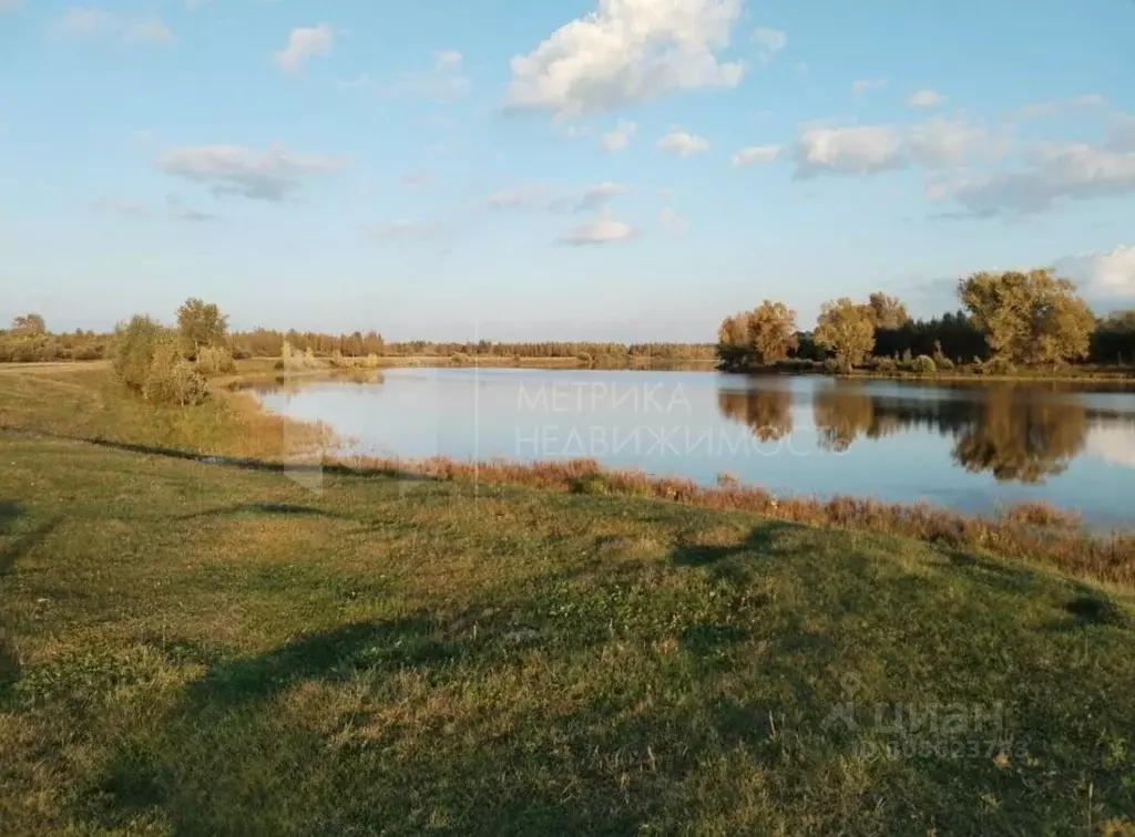 Участок в Тюменская область, Ярковский район, д. Мотуши  (15.0 сот.) - Фото 1