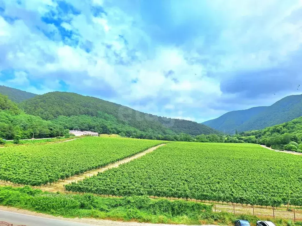 3-к кв. Краснодарский край, Геленджик городской округ, с. Прасковеевка ... - Фото 1