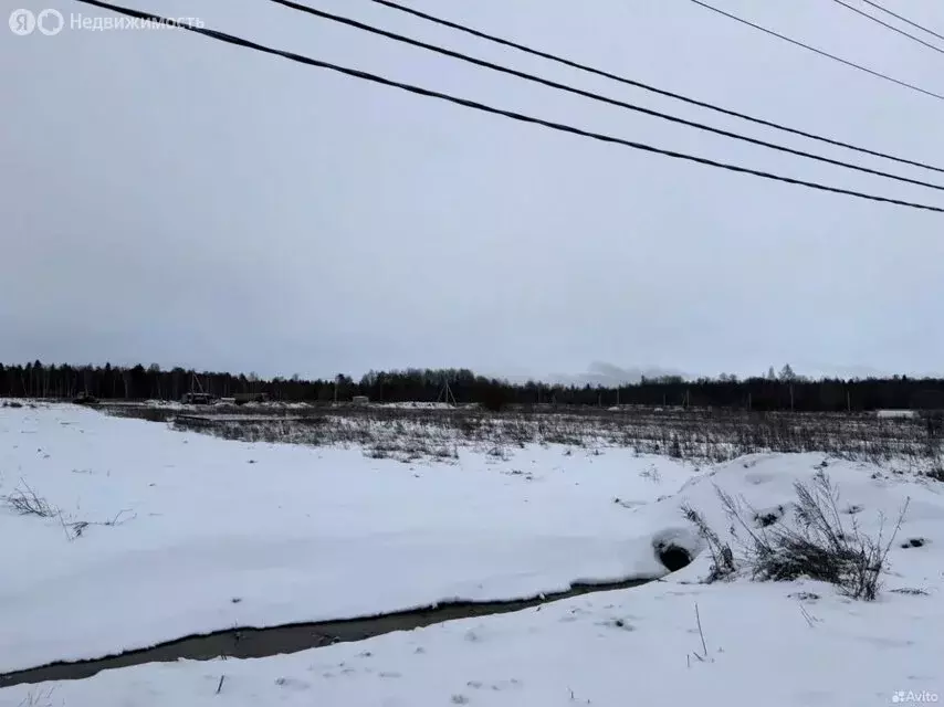 Участок в Оржицкое сельское поселение, урочище Брандовка (11 м) - Фото 0