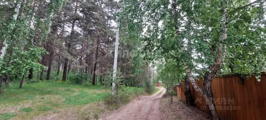 Участок в Новосибирская область, Ордынский район, с. Нижнекаменка ... - Фото 0