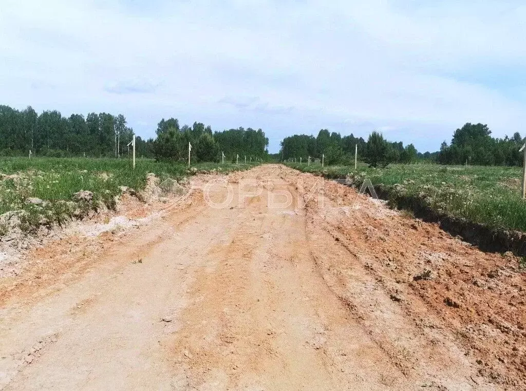 Участок в Тюменская область, Тюменский район, с. Каменка  (10.0 сот.) - Фото 2