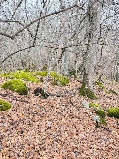 Участок в Крым, Алушта муниципальный округ, пос. Розовый  (12.0 сот.) - Фото 1