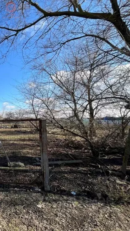 Дом в Крым, Ленинский район, с. Новониколаевка ул. Переселенческая, 4 ... - Фото 2