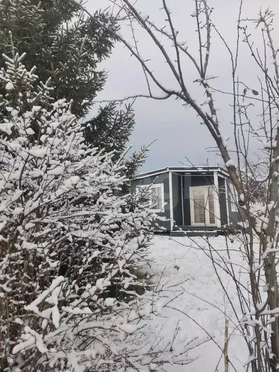 Участок в Челябинская область, Челябинск Металлист-2 СНТ, 247 (6.0 ... - Фото 2