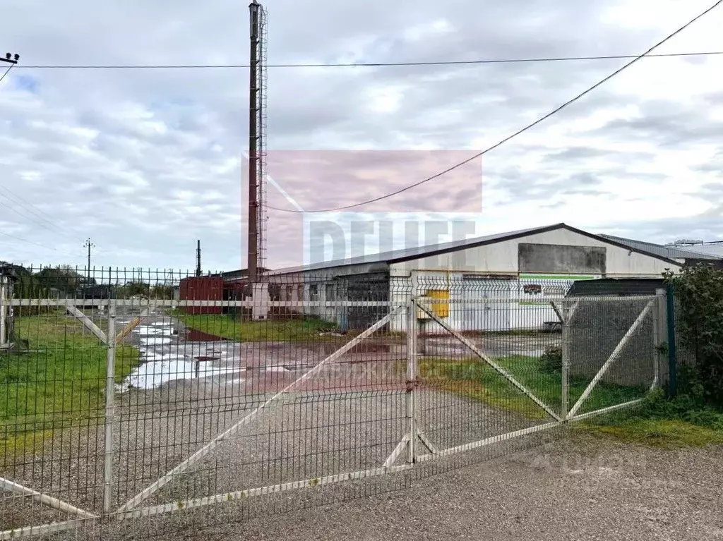 Склад в Калининградская область, Гурьевский муниципальный округ, пос. ... - Фото 2