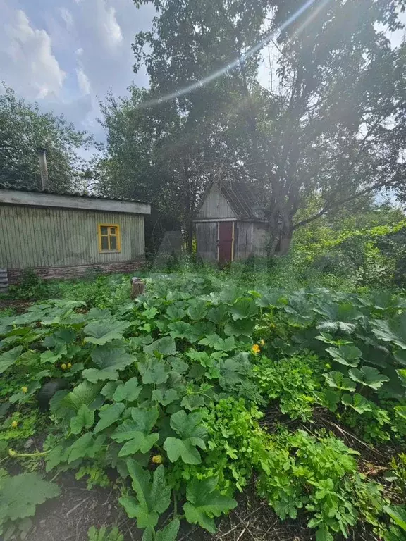 Дом 14,4 м на участке 6 сот. - Фото 1