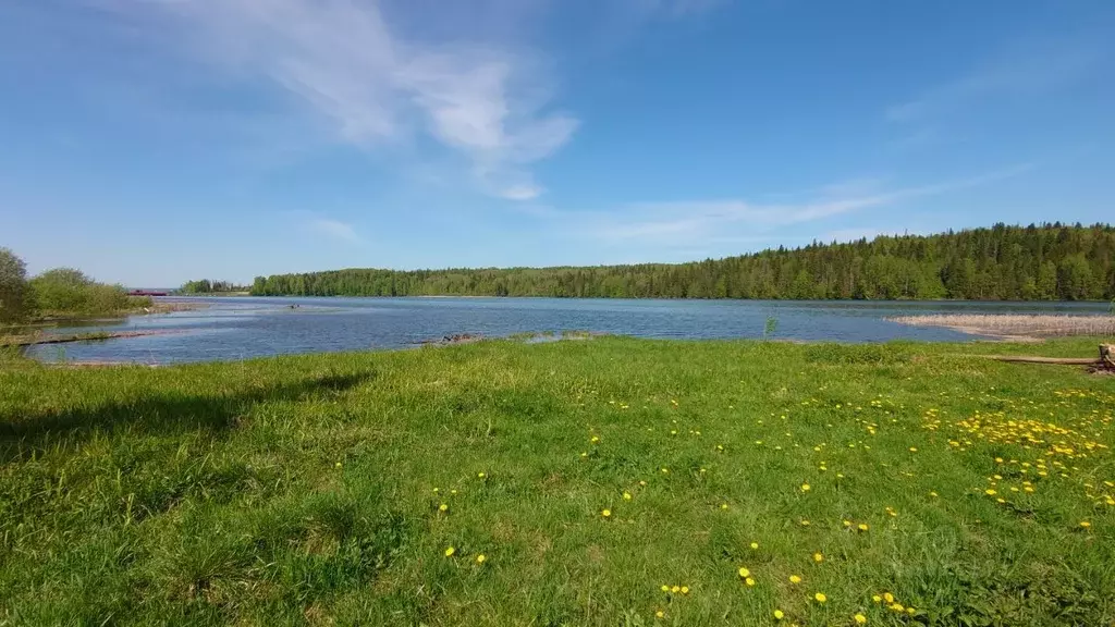 Участок в Пермский край, Чусовской городской округ, д. Шалашная  (50.0 ... - Фото 0