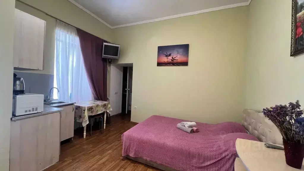 Студия Крым, Ялта ул. Дражинского, 11 (27.0 м) - Фото 0