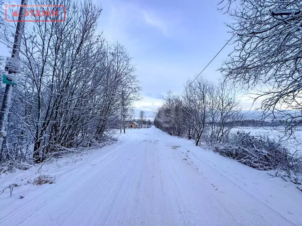 Участок в Шуйское сельское поселение, СНТ Лесовод, Сиреневый переулок ... - Фото 1