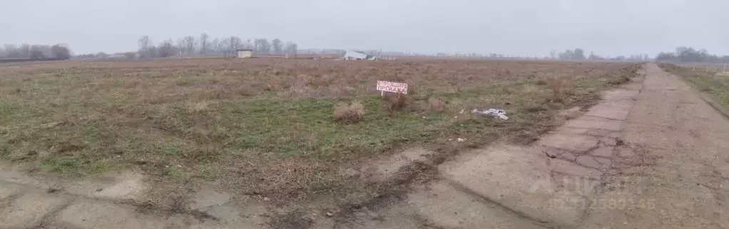 Участок в Волгоградская область, Среднеахтубинский район, Кировское ... - Фото 1