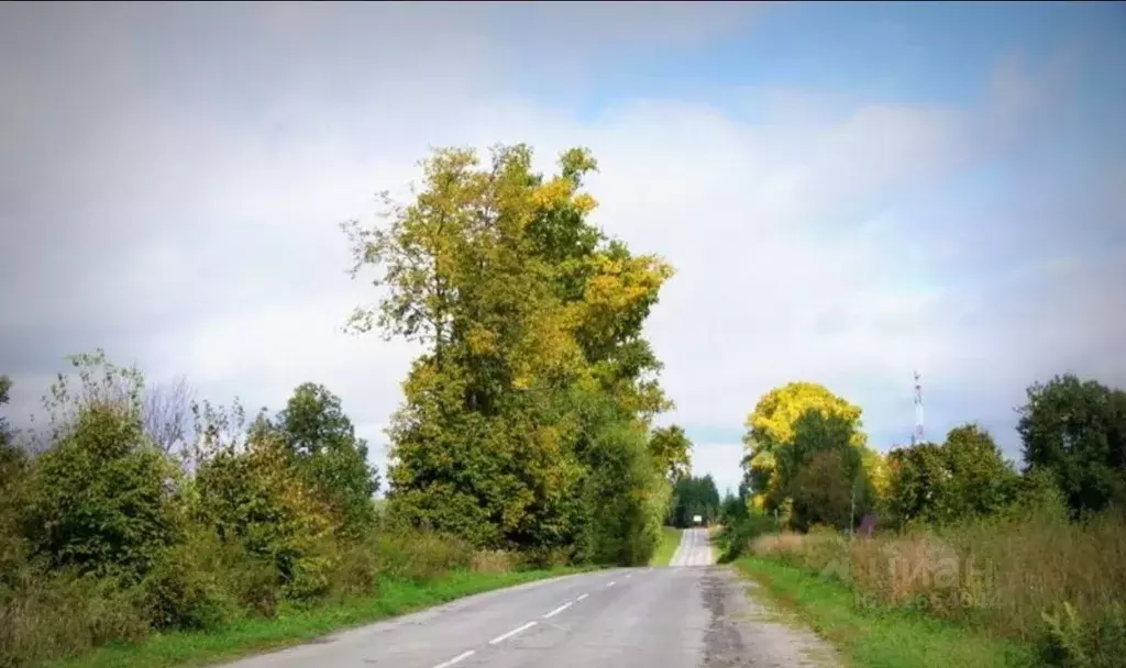 Парк в Костерево Владимирской