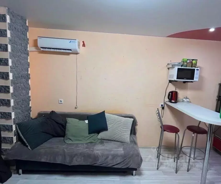 Студия Волгоградская область, Волгоград Высокая ул., 18А (24.6 м) - Фото 2