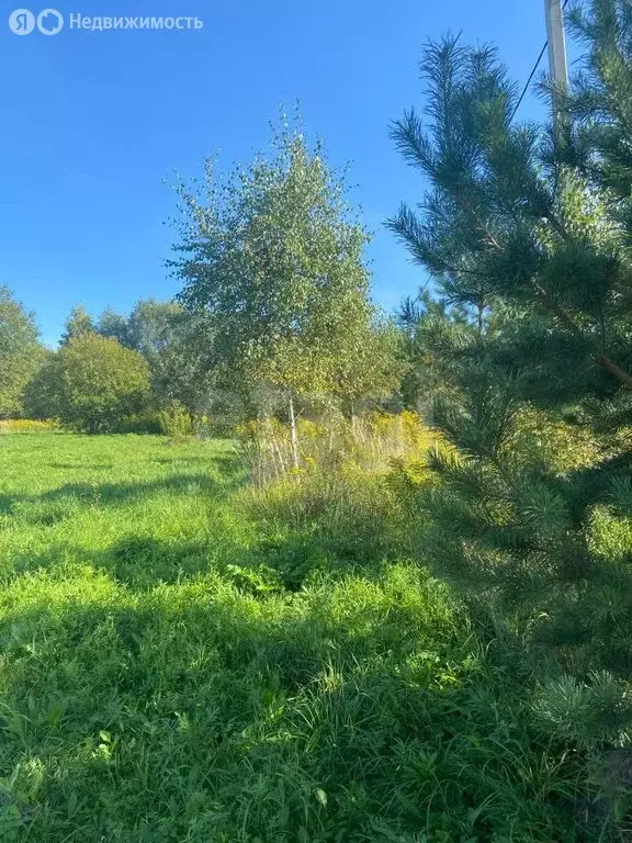 Участок в Тульская область, городской округ Тула, деревня Иврово (15 ... - Фото 1