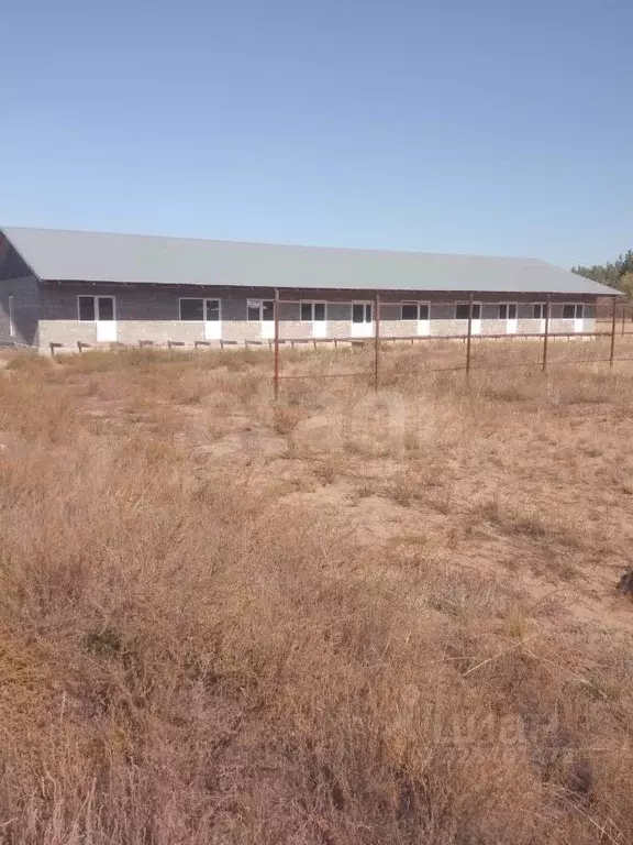 Помещение свободного назначения в Оренбургская область, Соль-Илецк ... - Фото 1