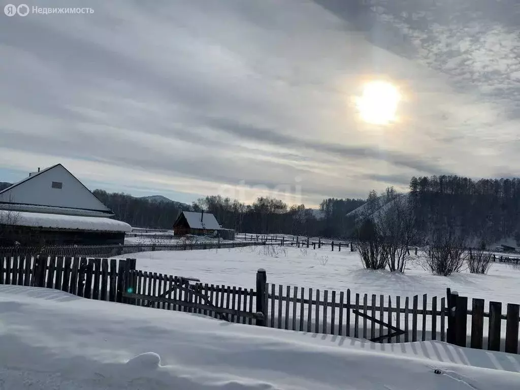 Участок в село Усть-Кокса, улица Аргучинского (9.4 м) - Фото 0