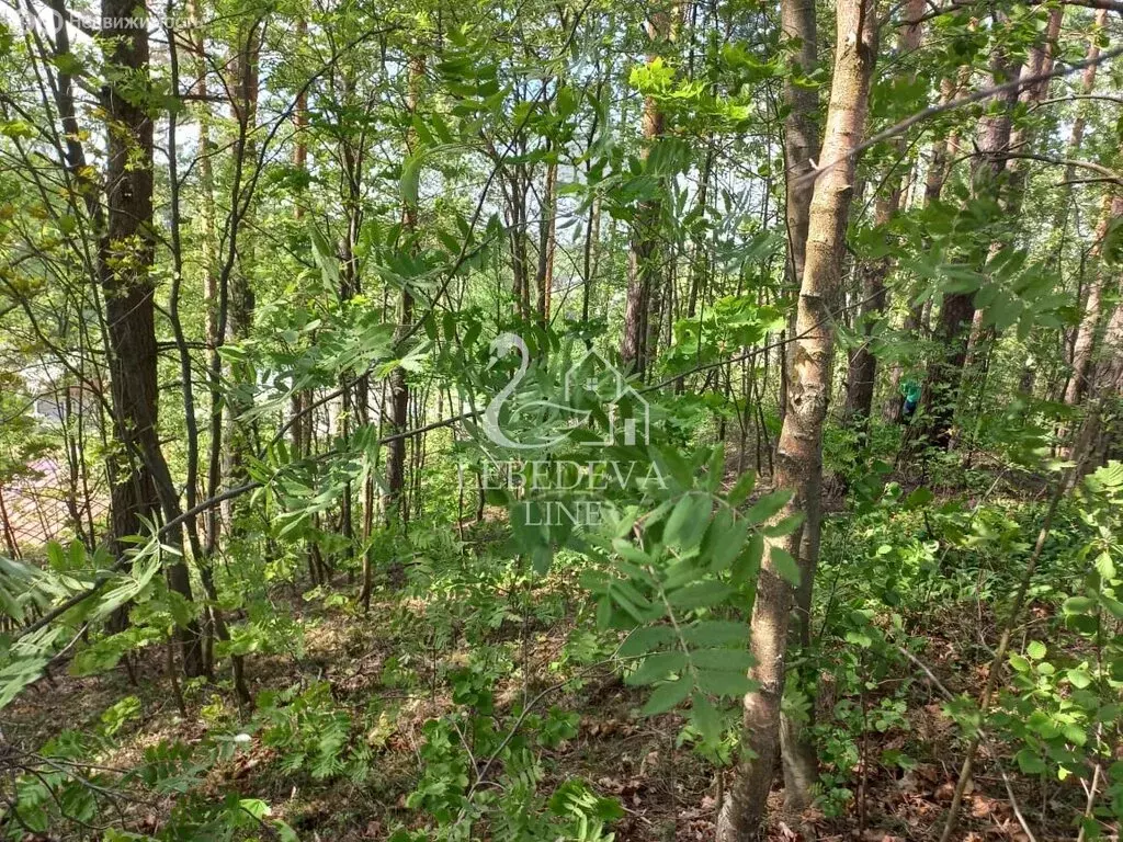 Участок в Колтушское городское поселение, деревня Лиголамби (15 м) - Фото 1
