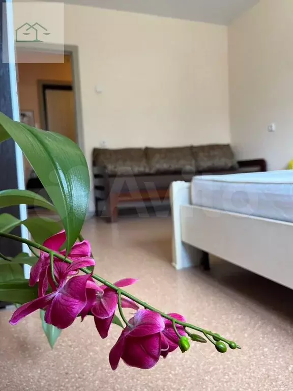 1-к. квартира, 36 м, 2/17 эт. - Фото 0