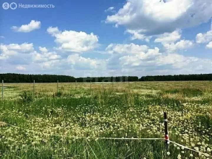 Участок в Благовещенский район, Ильино-Полянский сельсовет, село ... - Фото 2