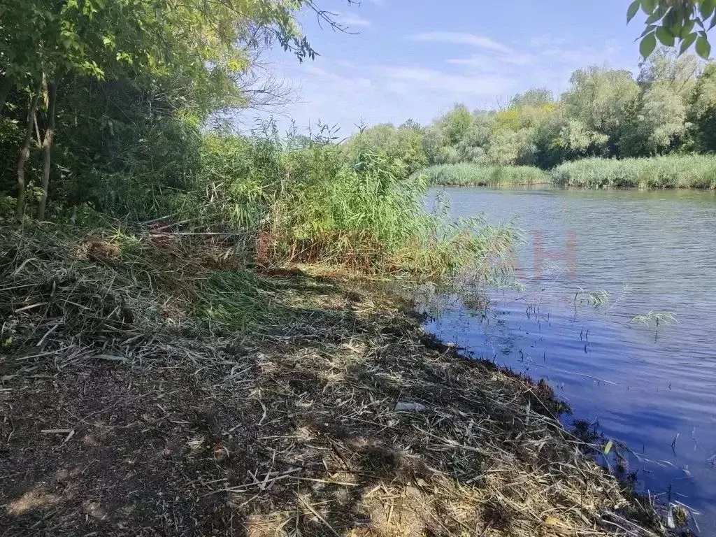 Участок в Ростовская область, Багаевский район, Ажиновское с/пос, ... - Фото 2