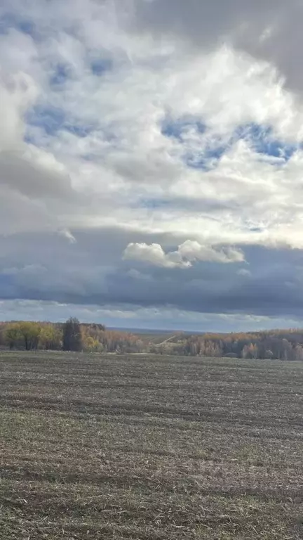 Участок в Тульская область, Алексин городской округ, д. Деево  (30.0 ... - Фото 2