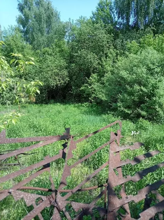 Участок в Рязанская область, Рязань пос. Карцево,  (6.0 сот.) - Фото 2