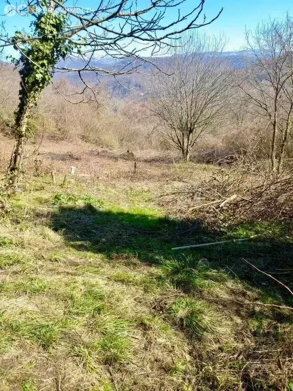 Участок в Краевско-Армянское, улица Саят-Нова (7.45 м) - Фото 1