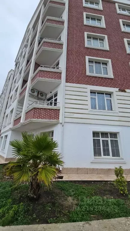 Студия Краснодарский край, Сочи ул. Ленина, 290/7к5 (25.0 м) - Фото 1