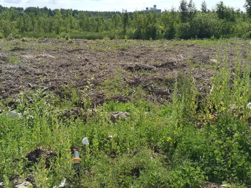 Участок в Ивановская область, Иваново Городской кп,  (7.14 сот.) - Фото 0