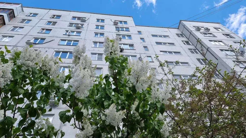 3-к кв. Самарская область, Тольятти Автозаводское ш., 41 (65.0 м) - Фото 0