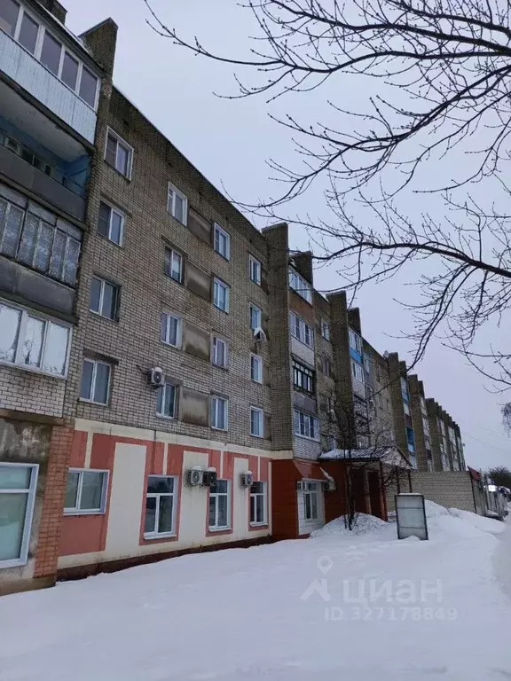 1-к кв. Тамбовская область, Рассказово ул. Куйбышева, 1 (33.5 м) - Фото 2