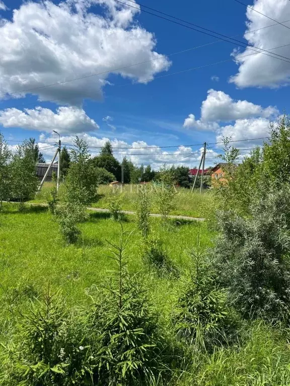 Участок в Московская область, Рузский муниципальный округ, пос. ... - Фото 2