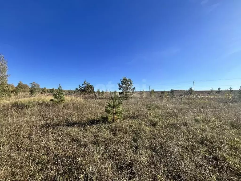 Участок в Мордовия, Кочкуровский район, с. Подлесная Тавла  (9.96 ... - Фото 1