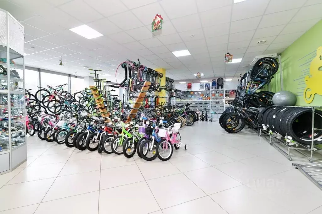 Помещение свободного назначения в Московская область, Павловский Посад ... - Фото 1