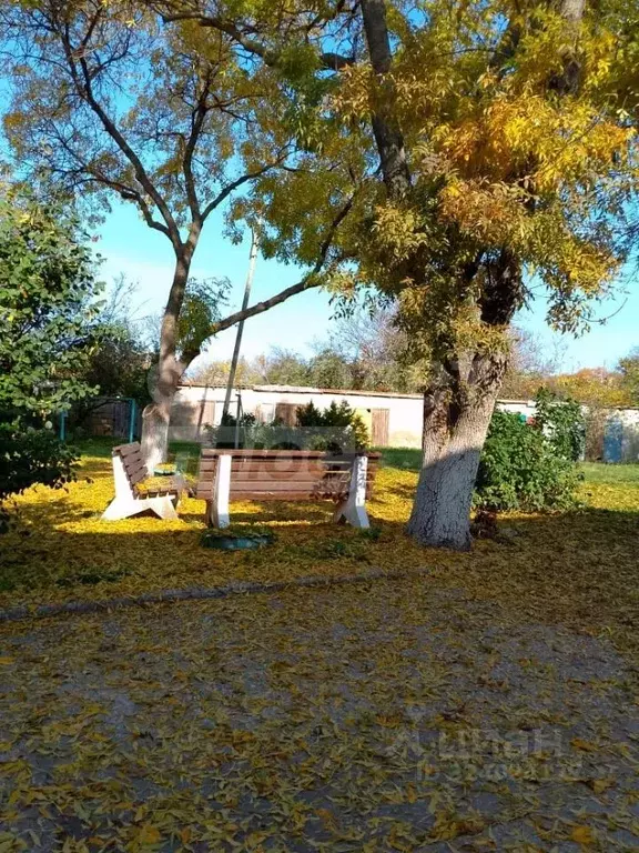 1-к кв. Севастополь с. Осипенко, ул. Сухий, 1 (30.0 м) - Фото 1