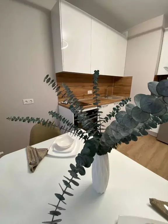 Студия Московская область, Люберцы городской округ, Мирный пгт ул. ... - Фото 2