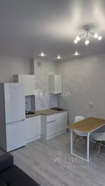 Студия Новосибирская область, Новосибирск ул. Аэропорт, 49/2 (25.0 м) - Фото 1