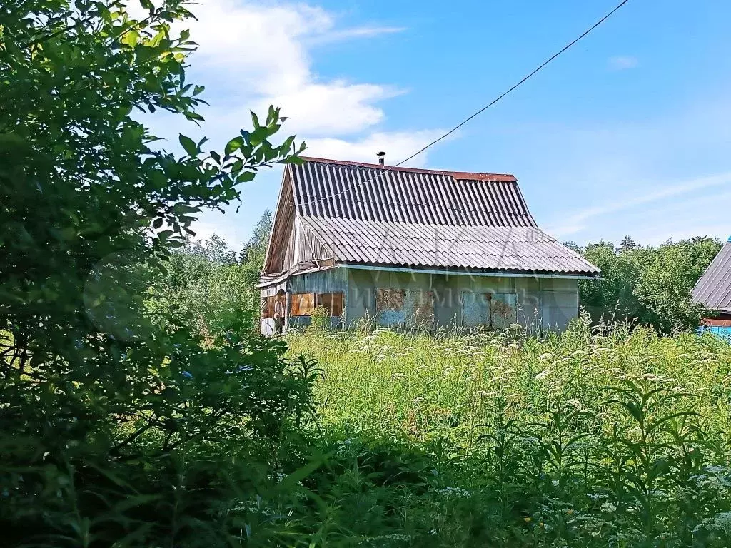 Дача 35 м на участке 10 сот. - Фото 0