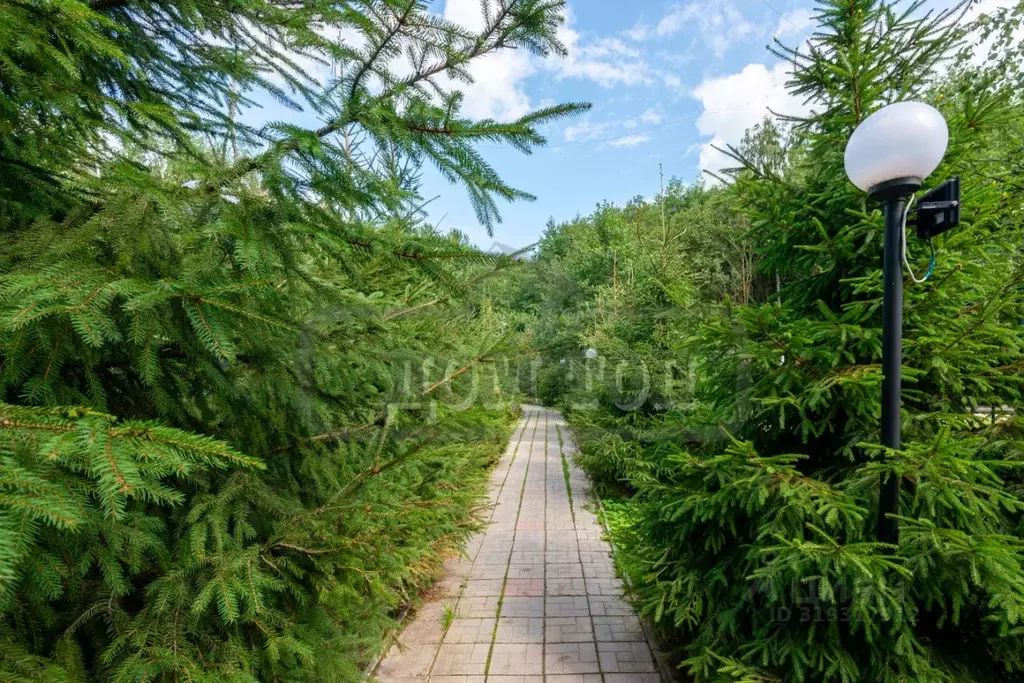 Дом в Москва Марушкинское поселение, д. Крекшино,  (1100 м) - Фото 1