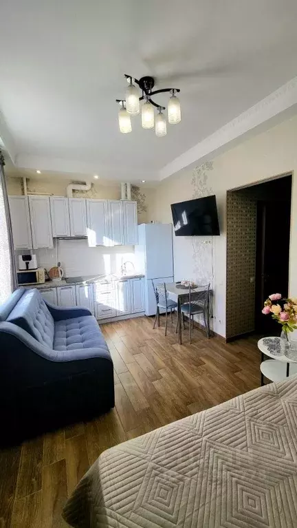 Студия Краснодарский край, Сочи Блиново мкр, ул. Лесная, 2/3 (25.0 м) - Фото 2