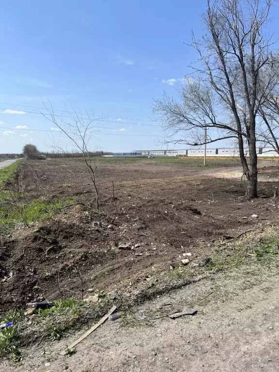 Участок в Ростовская область, Мясниковский район, Красный Крым хут.  ... - Фото 1