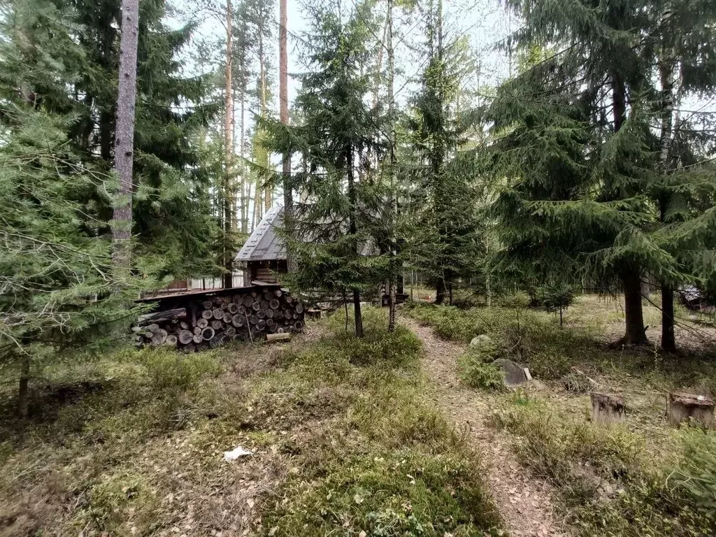 Участок в Ленинградская область, Гатчинский район, Вырица городской ... - Фото 1