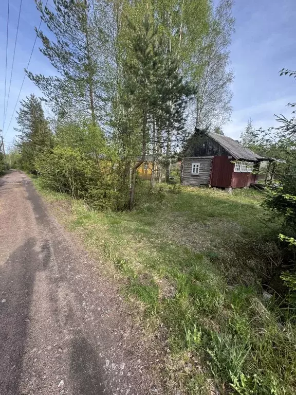 Участок в Ленинградская область, Выборгский район, Рощинское городское ... - Фото 1
